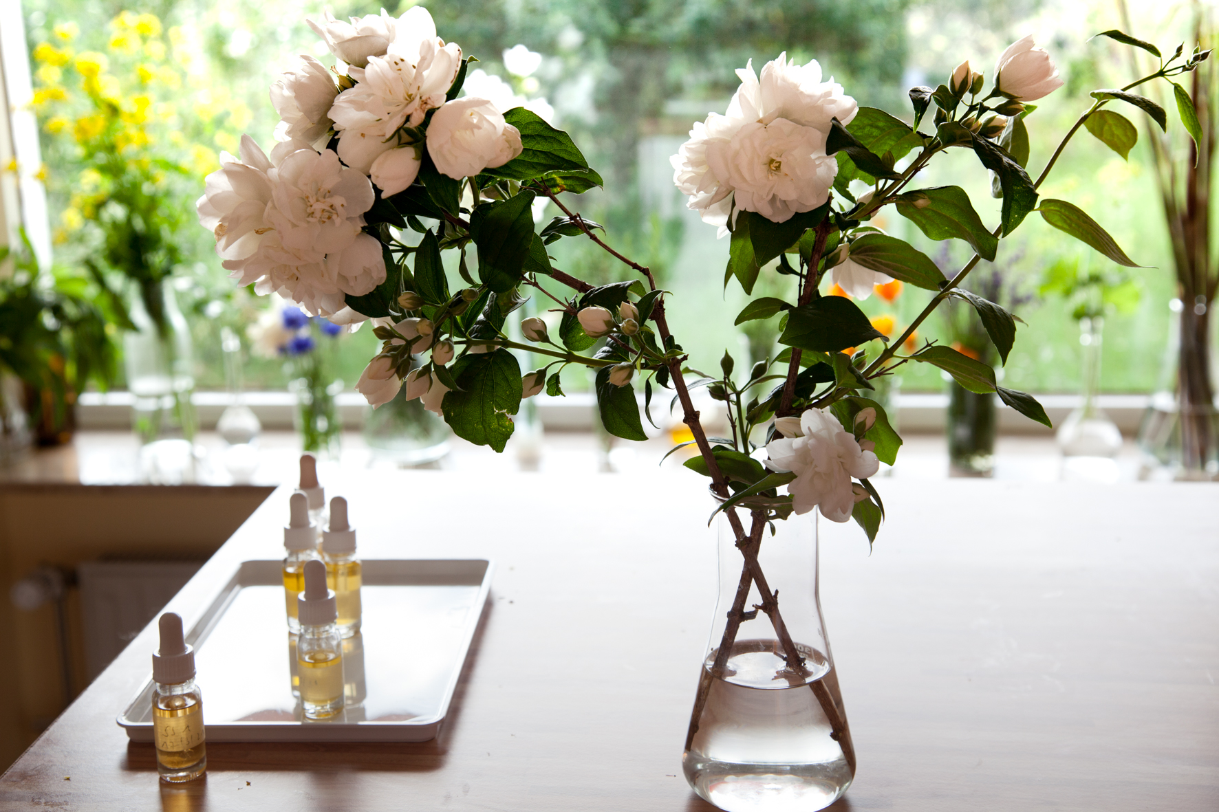 Blumenstrauss und kostbare Seren zur Hautpflege auf einem Tisch