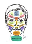 Face mapping ist eine Gesichtsanalyse, die das Gesicht in Zonen unterteilt. Hautprobleme wie Pickel geben Hinweise auf mögliche innere Organprobleme