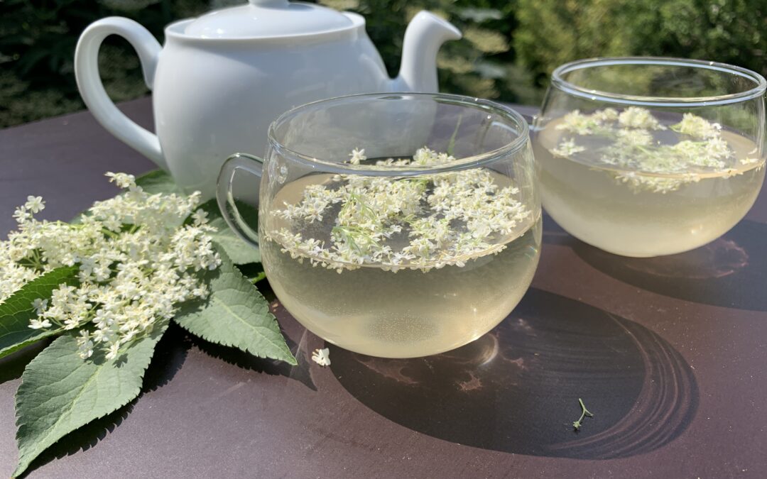 Holunderblüten Tee selber machen: Sanfte Wirkung & Genuss für 12 Monate im Jahr